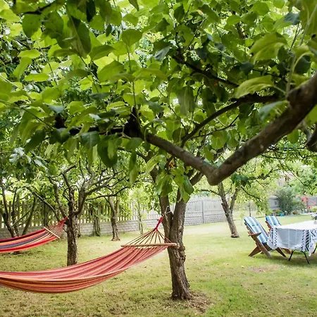 Cztery Katy Zator Energylandia *